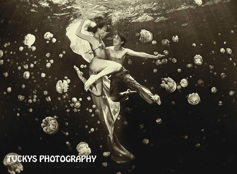 Underwater wedding shoot with jellyfish at palau