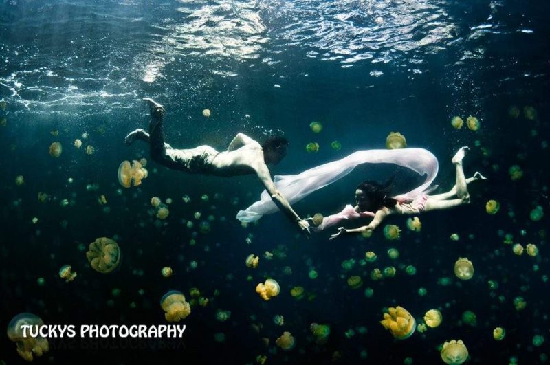 Underwater pre-wedding portraits Photography with jelly fish. Professional corporate portrait photographer based in Singapore